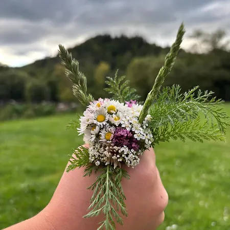La Via Natura *