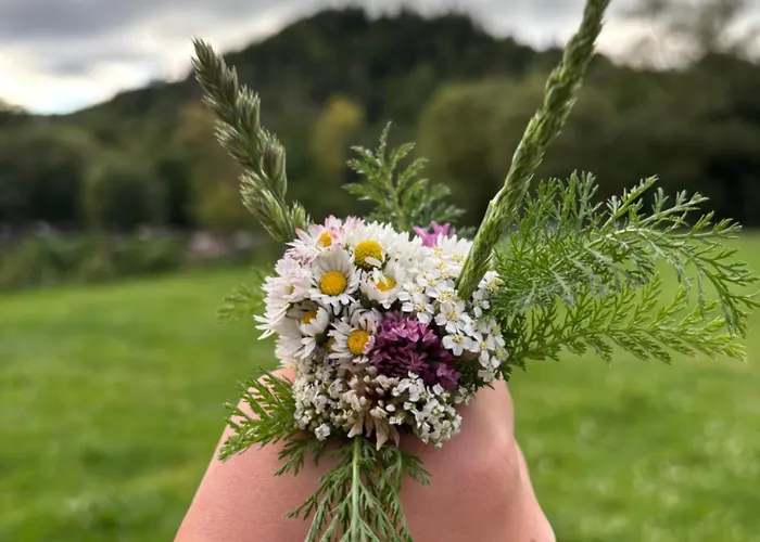La Via Natura Rejštejn *