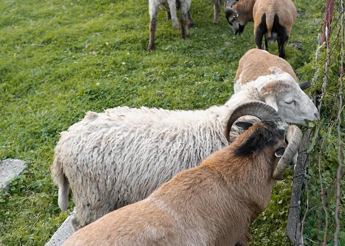 Appartamento La Via Natura Rejštejn Rejstejn