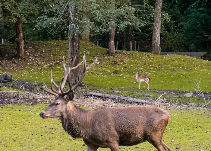 Appartamento La Via Natura Rejštejn *