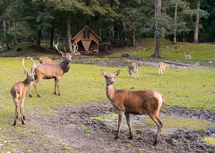 La Via Natura Rejštejn